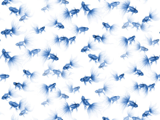 Goldfish Treasures-840311