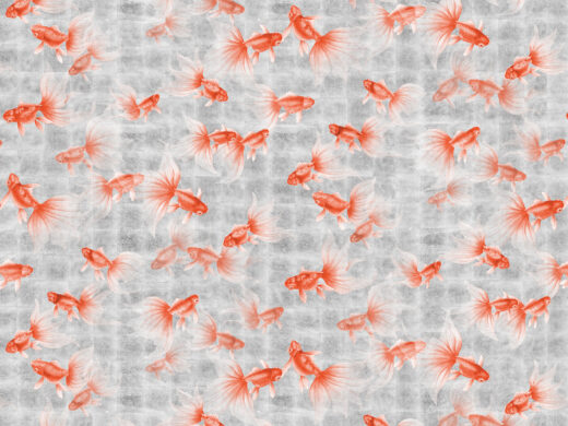 Goldfish Treasures-840312