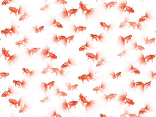 Goldfish Treasures-840313