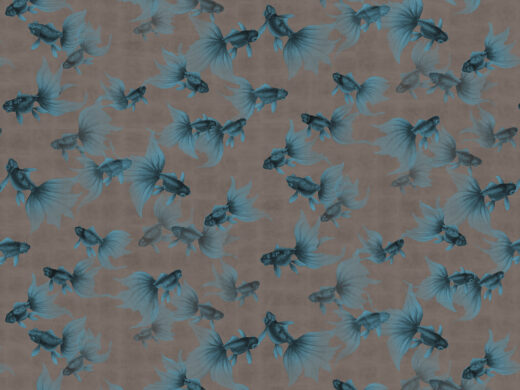 Goldfish Treasures-840314