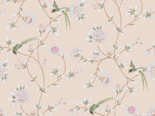 Birds Twitter-841112