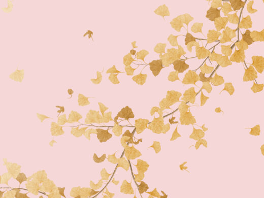 Golden Ginkgo 280502