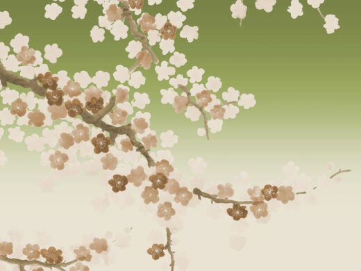 Peach Blossom 282303