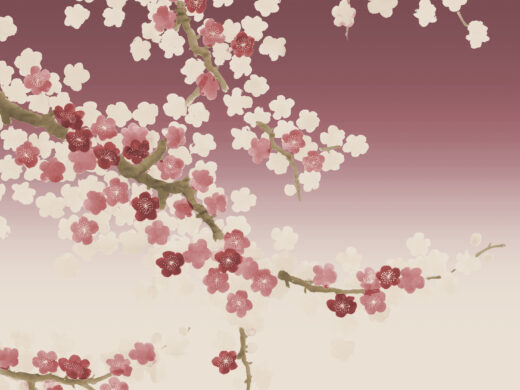Peach Blossom 282304