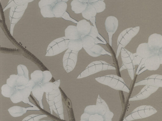 Mountain Villa with Embracing Beauty ON0101